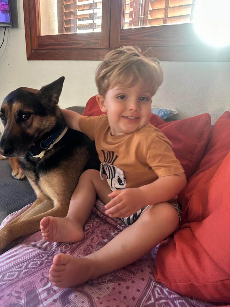 Emprender con propósito Ikigai emprendedor pet friendly